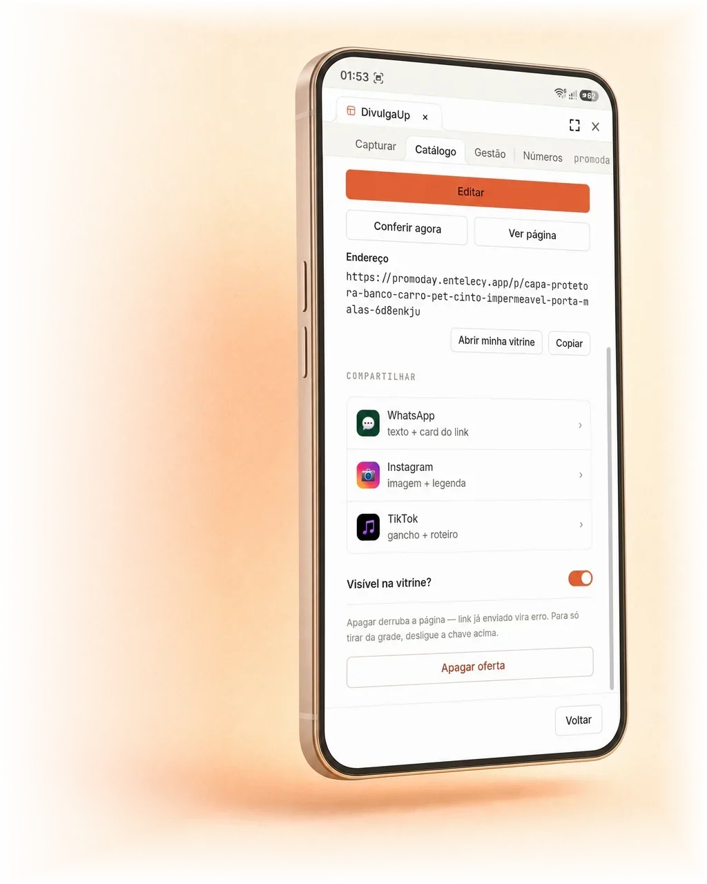 Oferta no app do DivulgaUp, com editar, conferir e ver página