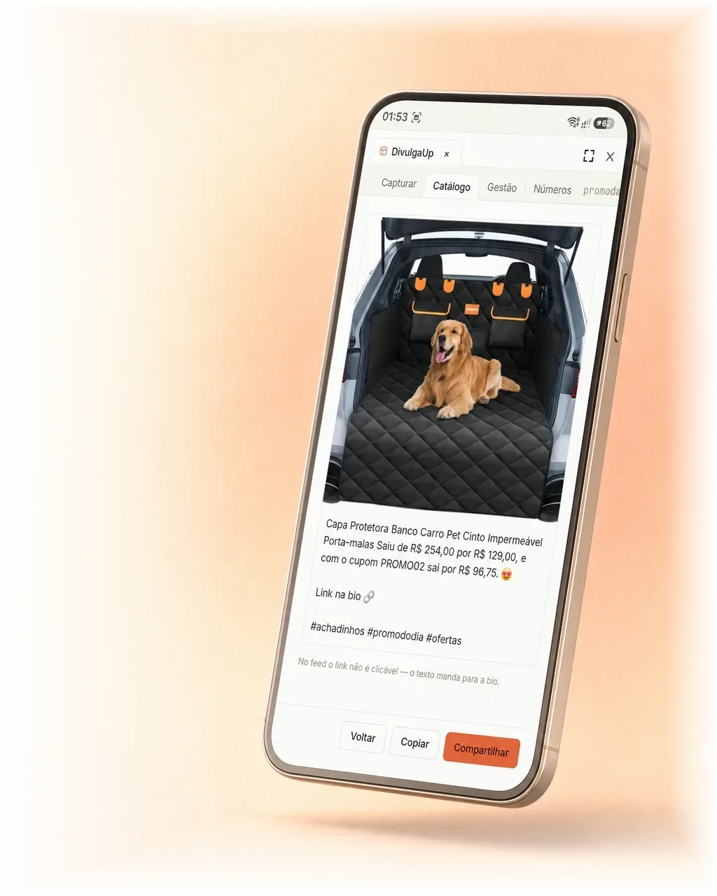 Catálogo do DivulgaUp com post pronto e link na bio