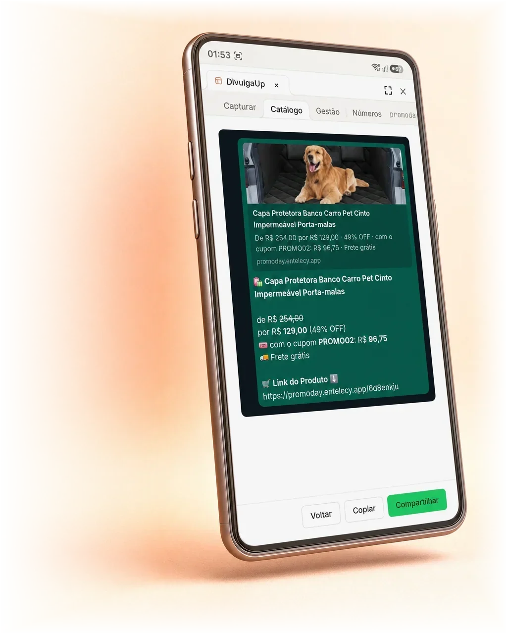 Prévia do card do DivulgaUp antes de compartilhar