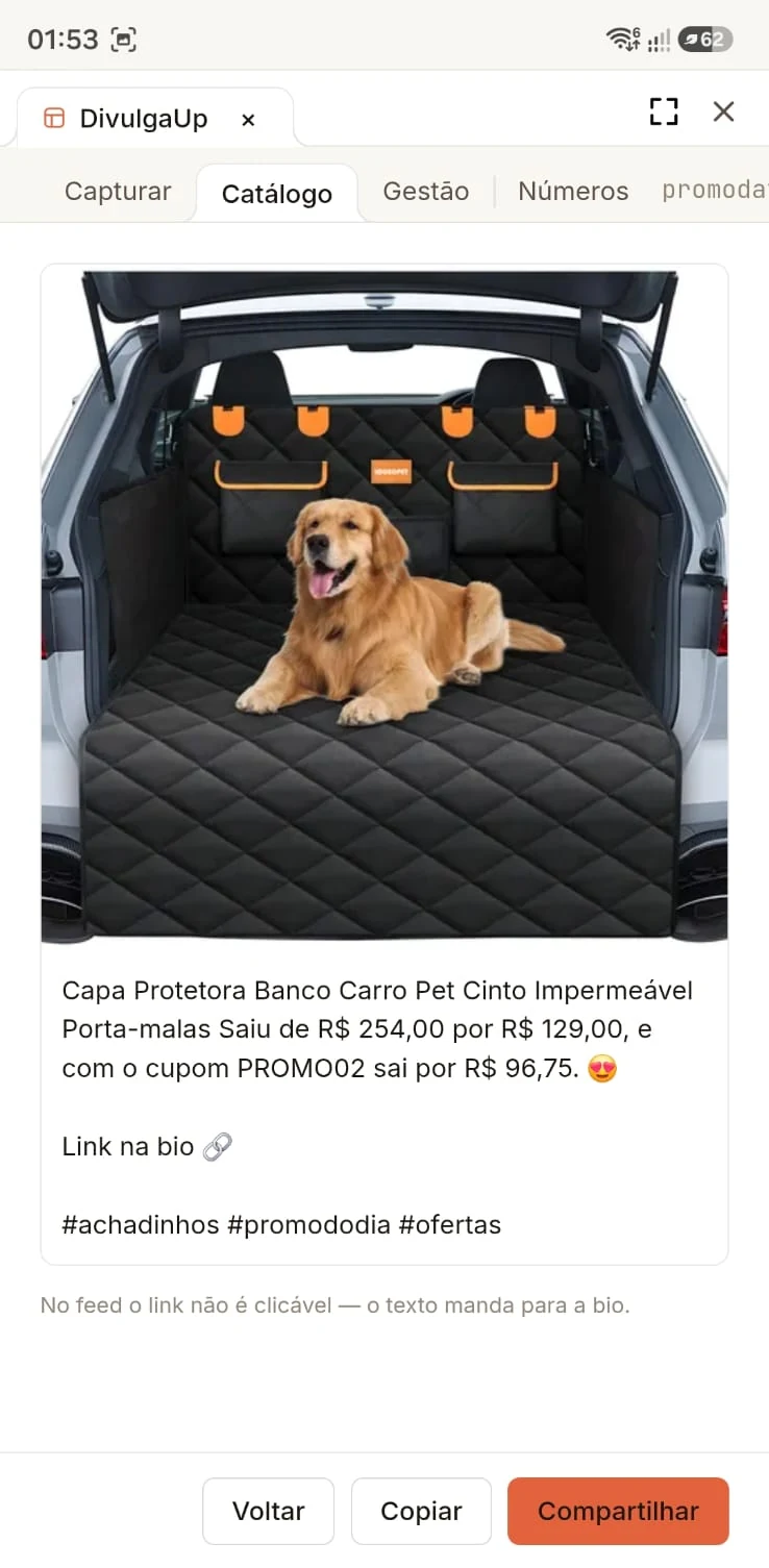 Material pronto de catálogo